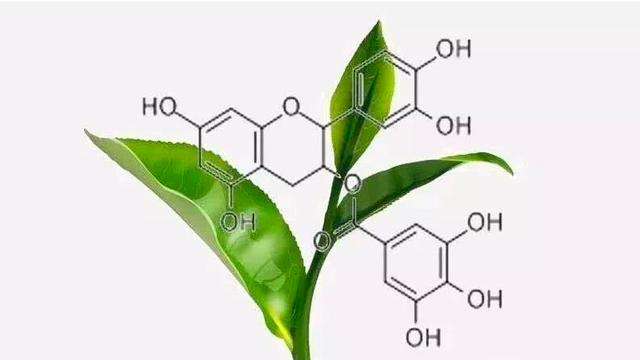 保温杯泡茶成毒茶，有毒且致癌？究竟能不能喝？央视实验揭晓真相