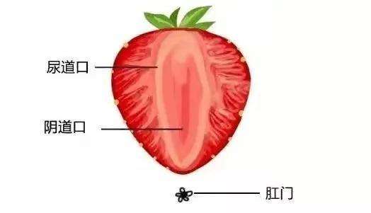 啪啪啪时私处有“味”？味从哪里来？为了另一半，建议你看完全篇