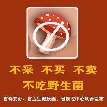 毒蘑菇高发季又来了，湖南发布今年第三次预警
