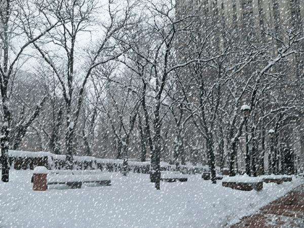 明日大雪，进补正当时，推荐3道养生粥，营养好消化，养胃又养人