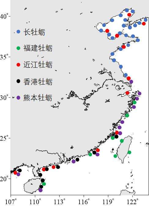 “海蛎子”到底能不能生吃？一天可过滤190升海水，肠道有多脏？