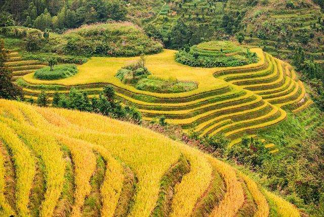 全国早餐大PK，谁是赢家？