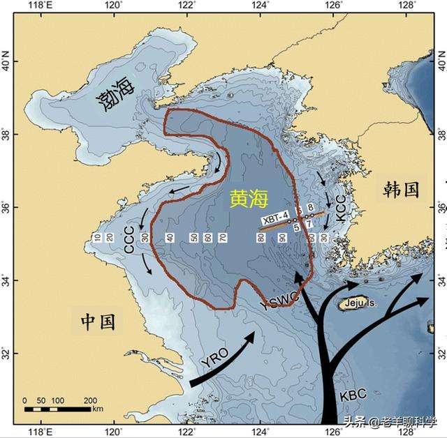 扶不起的三文鱼：我国苦心经营50年，为何始终养不好一条鱼？