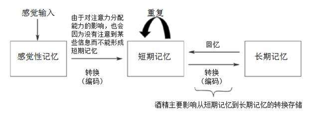 有些人醉酒后容易断片，如何才能避免酒后断片发生？