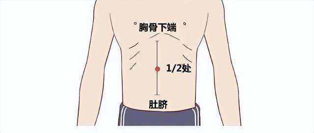 肚子经常会胀气怎么办？腹胀养脾肝，四种方法调理肚子胀气