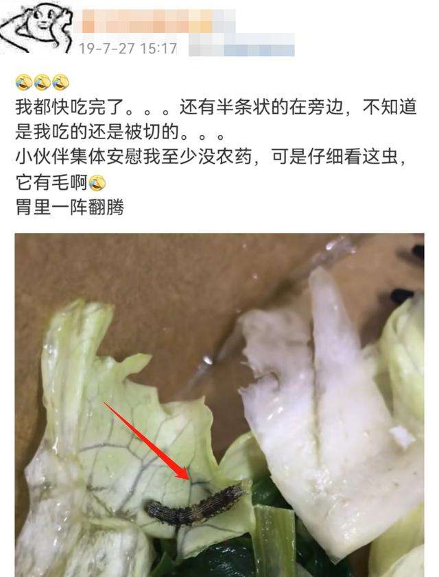 女，55公斤，吃了两个月的轻食反倒重了2公斤，她是怎样做到的？