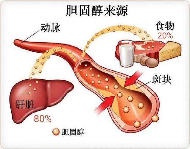 胆固醇升高，不要慌，哈佛大学：通过5点饮食建议，血脂悄悄降