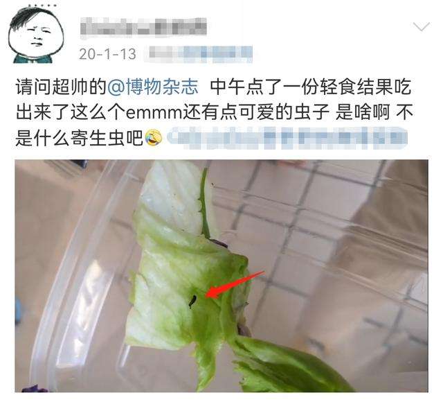 女，55公斤，吃了两个月的轻食反倒重了2公斤，她是怎样做到的？