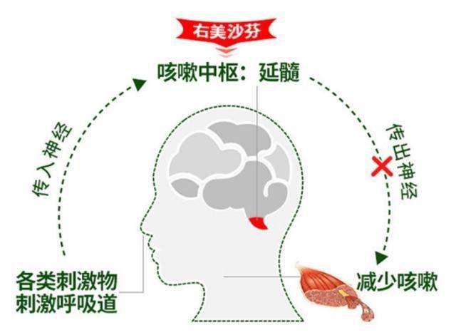 咳嗽忍无可忍？教你止咳的科学方法，不走弯路