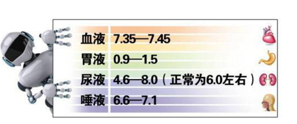 怎么确定自己是酸性体质还是碱性体质