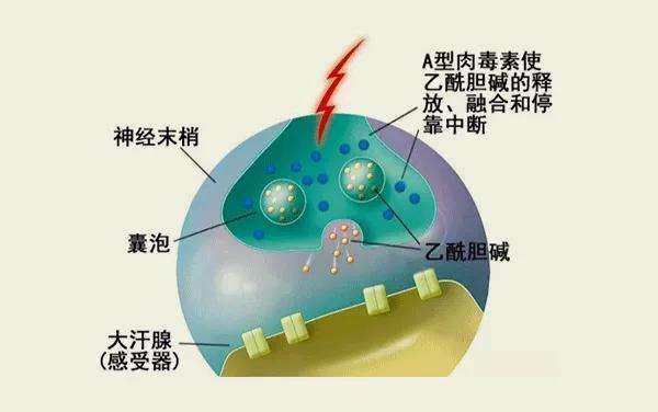 消除腋下异味，清新迎接夏天，腋臭如何安全有效祛除？