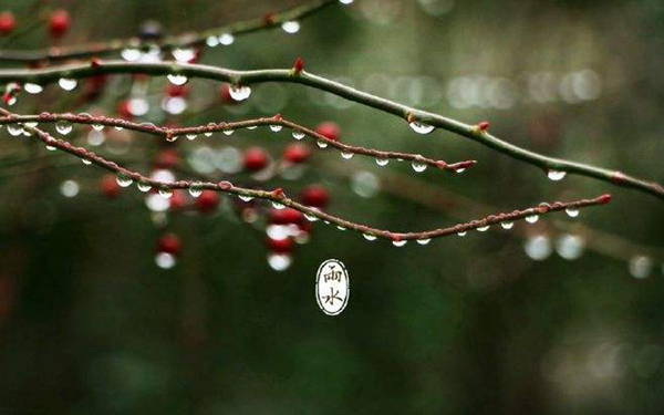 立春节气图片