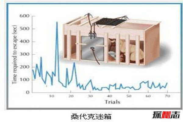 桑代克的迷笼实验又称为饿猫实验