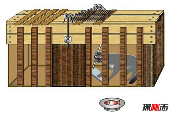 桑代克的迷笼实验又称为饿猫实验