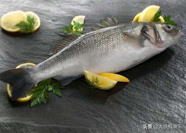 钓鱼人公认最好吃的十种淡水鱼，黄河鲤鱼上榜