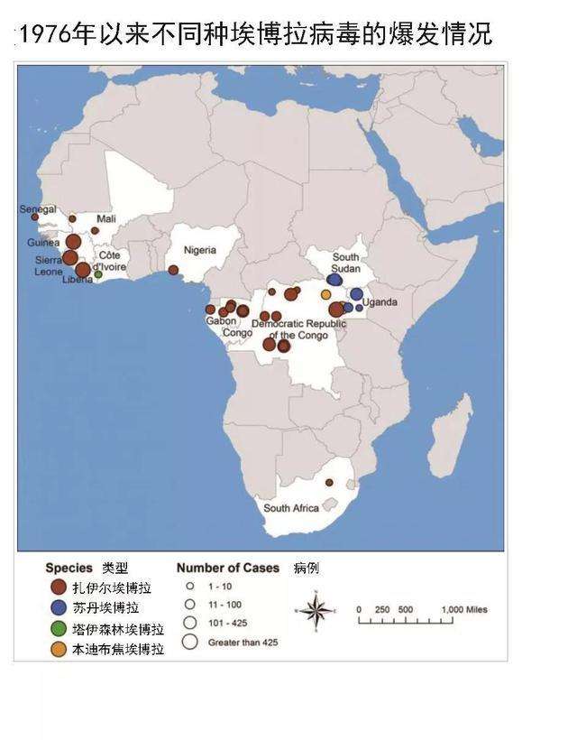 埃博拉病毒卷土重来，比新冠还可怕的埃博拉，为何一直在非洲肆虐