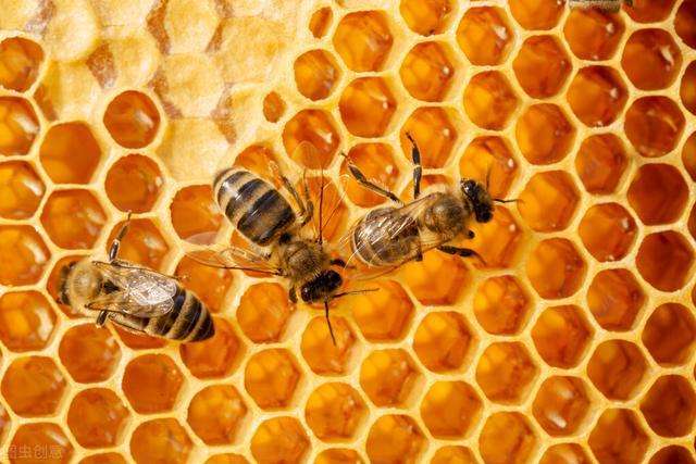咽喉不适可以喝蜂蜜吗？蜂蜜可以缓解咽喉疼痛吗？