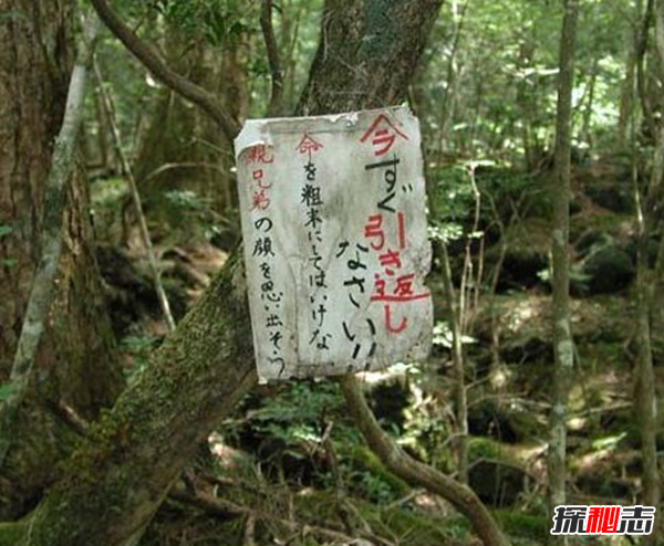 富士山下的恐怖