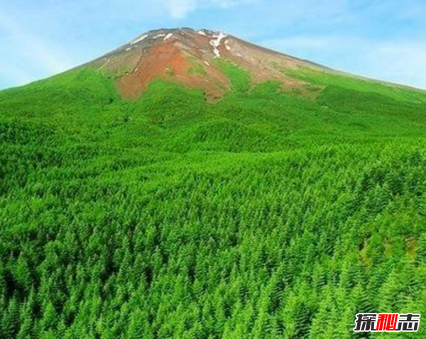 富士山下的恐怖