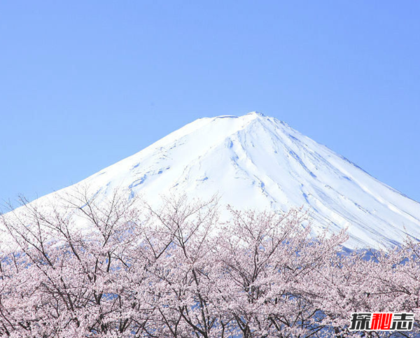 富士山下的恐怖