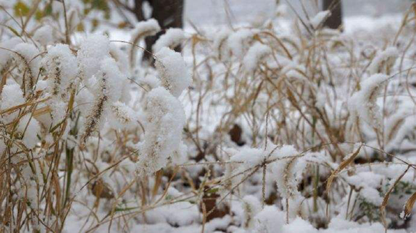 梦到下小雪是什么意思