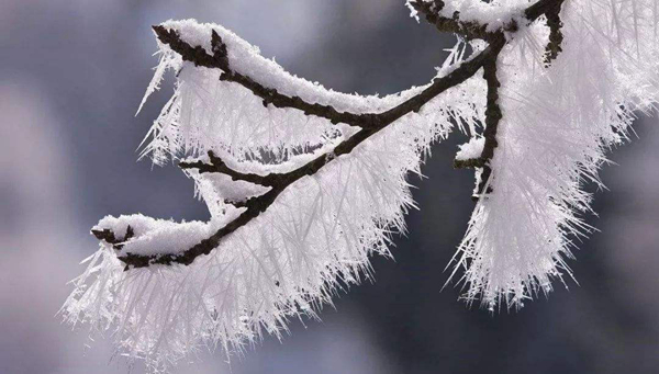 梦到下小雪是什么意思