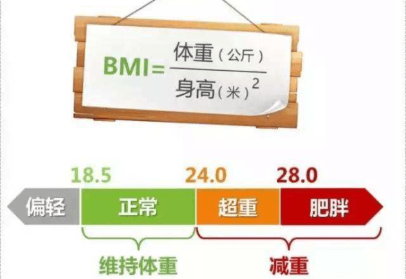 bmi指数是啥意思