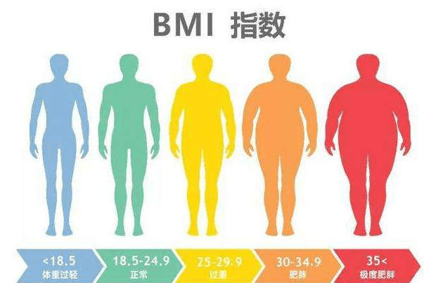 bmi指数是啥意思