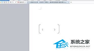 WPS文本中如何输入大括号和圆括号的教学分享