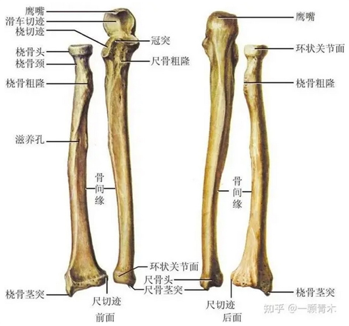 人类没有攻克的疾病有哪些