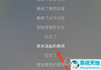 网易云音乐app怎么复制歌名(网易云音乐歌词怎么复制歌词)