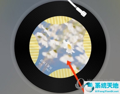 网易云音乐app怎么复制歌名(网易云音乐歌词怎么复制歌词)