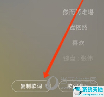 网易云音乐app怎么复制歌名(网易云音乐歌词怎么复制歌词)