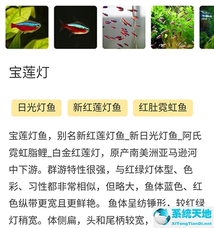 泡泡水族怎么删除帖子(泡泡水族怎么改名字)