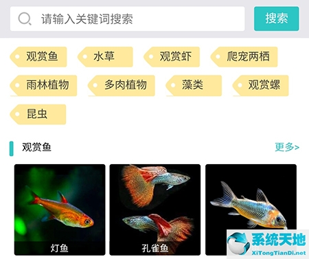 泡泡水族怎么删除帖子(泡泡水族怎么改名字)