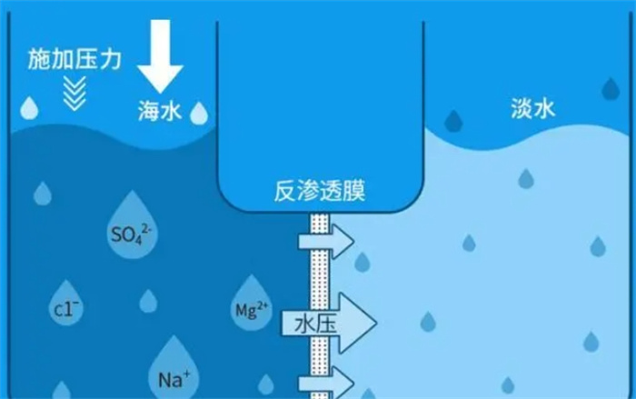 雪龙二号抵达地