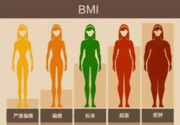 bmi(身体质量指数)是 ( )