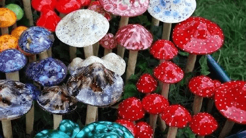 世界排名前三的毒蘑菇是什么