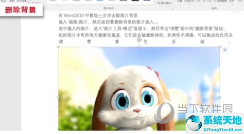 如何删除word图片背景(word2003怎么删除图片背景)