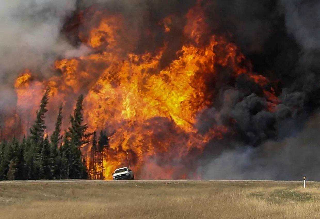 美国西部连年发生森林大火事件