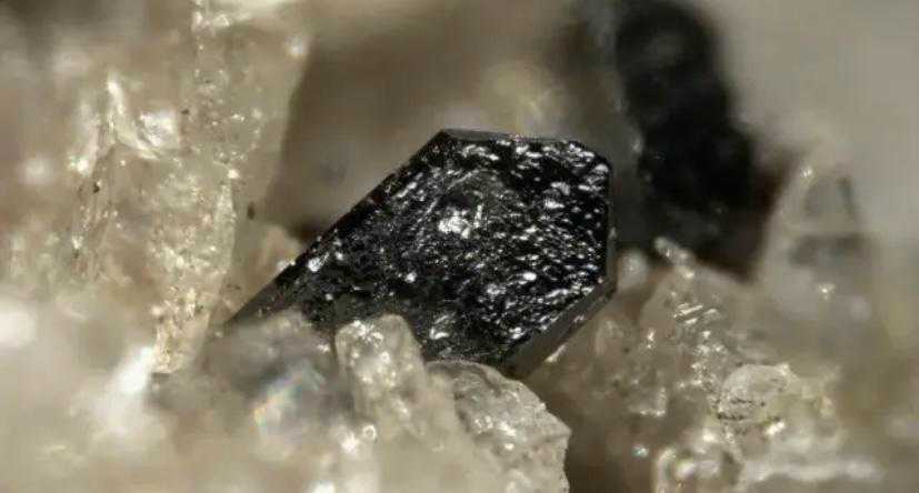 在新疆发现一种比稀土还要昂贵的奇特金属有哪些