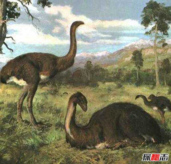 十大远古最恐怖的动物 史前生物