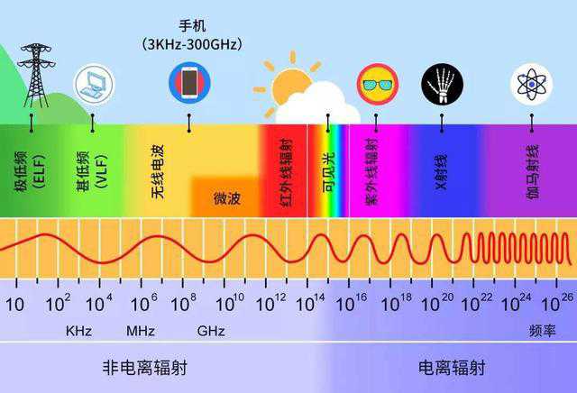 为什么葡萄放进微波炉会爆炸