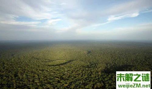 巴西最大的雨林