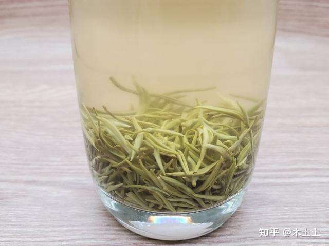 春天更适合喝什么茶，好的春茶有哪些？