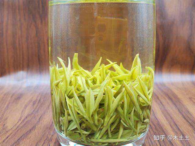 春天更适合喝什么茶，好的春茶有哪些？