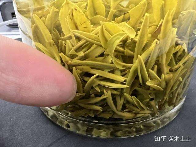 春天更适合喝什么茶，好的春茶有哪些？