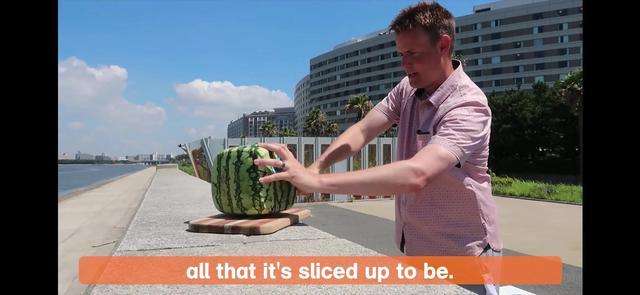 square  watermelon  方形西瓜