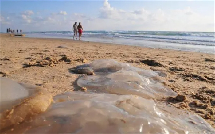 书名：海底10种神秘生物