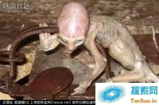 女宇航员无故集体怀孕视频